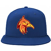 Gorra Firebirds