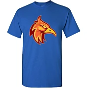T-Shirt Firebirds