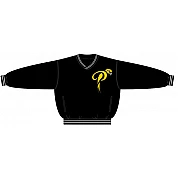 Fürth Pirates PolyMicro Pullover Jacket