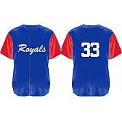 Camisa Gammertingen Royals