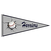 Harriers Pennant
