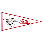 Banderin High Tech Hitters