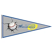 Banderin Hilversum Hurricanes