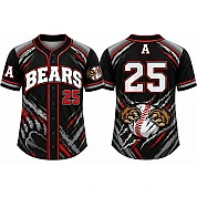 Bournemouth Bears Alternate Jersey, Flatback Mesh