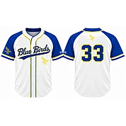 Blue Birds Alternate Jersey, Flatback Mesh