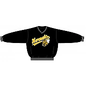 Oldenburg Hornets PolyMicro Pullover Jacket