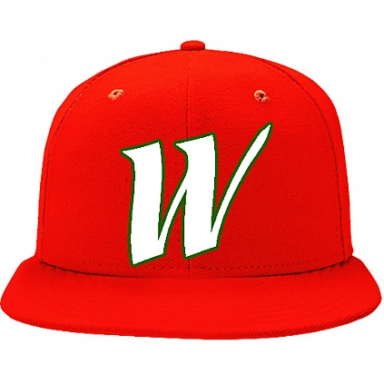 Gorra Wizards of Boz