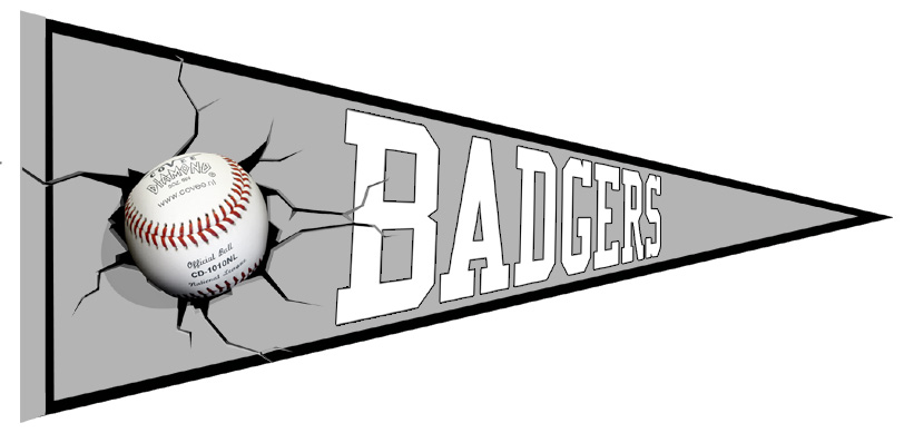 Badhoevedorp Badgers Pennant