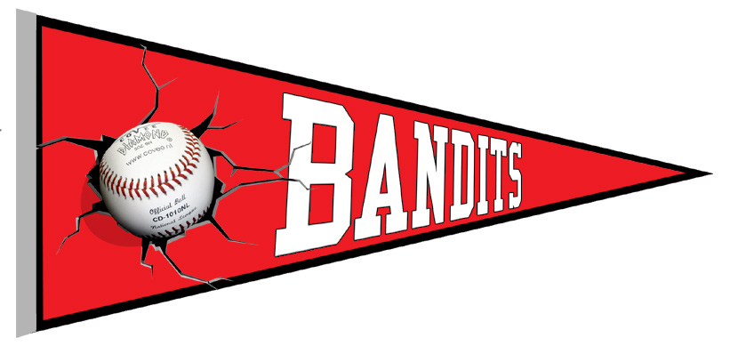 Banderin Rapperswil-Jona Bandits