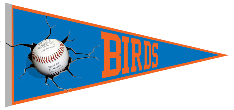 Birds Zoetermeer Pennant
