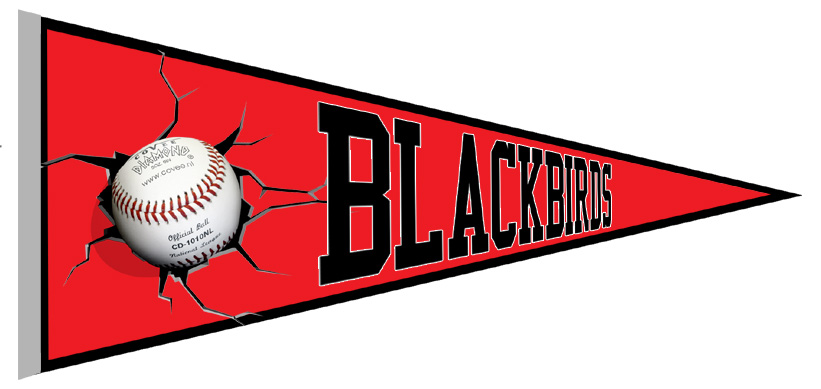 Wolfsburg Blackbirds Pennant