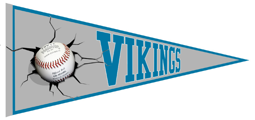 Chalon Vikings Pennant