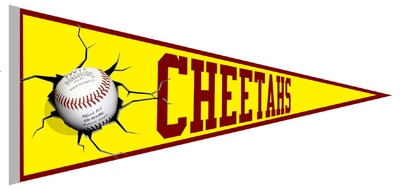 Cheetahs Pennant