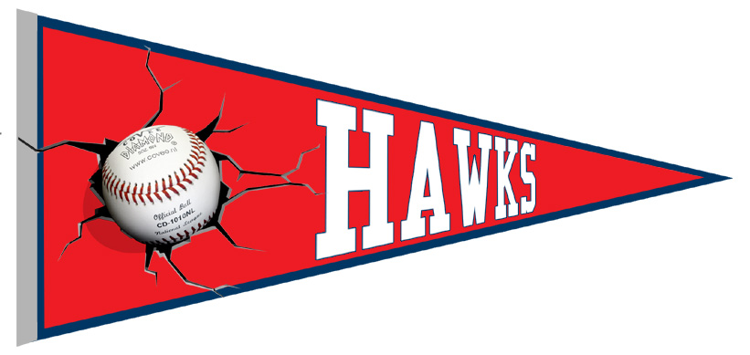 Banderin Hawks