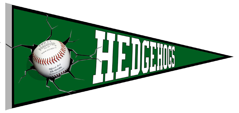 Buxtehude Hedgehogs Pennant