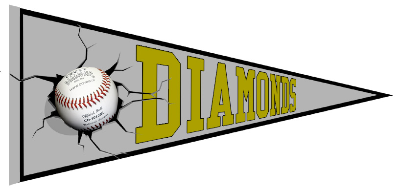 Schwerin Diamonds Pennant