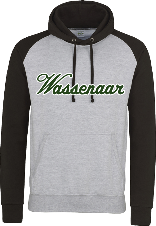 Sudadera con capucha en contraste WSB Apeldoorn