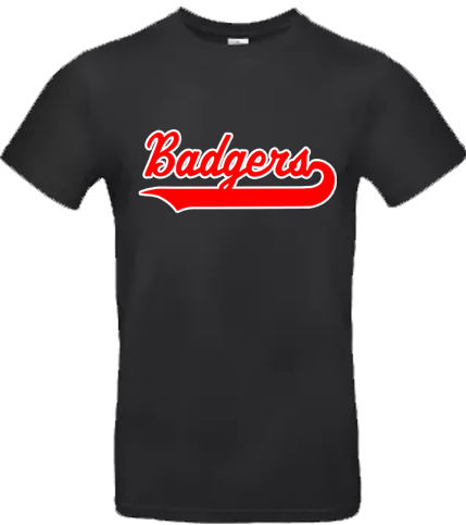 Sudadera Badgers de besançon