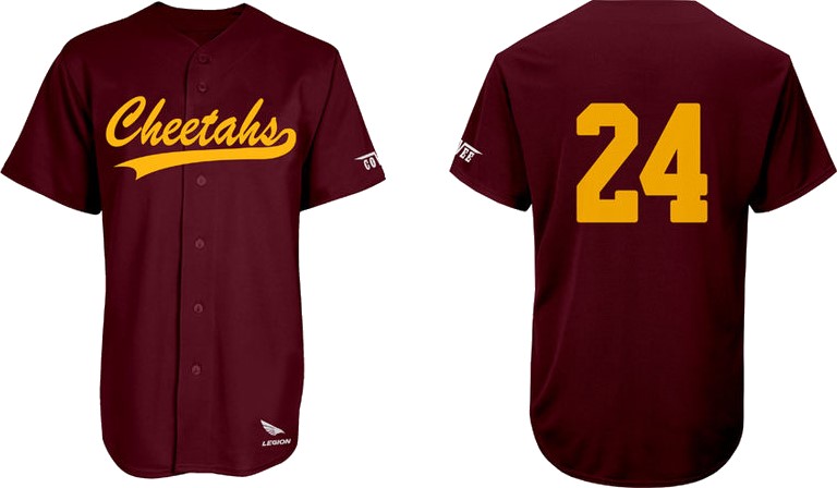 Camisa Cheetahs