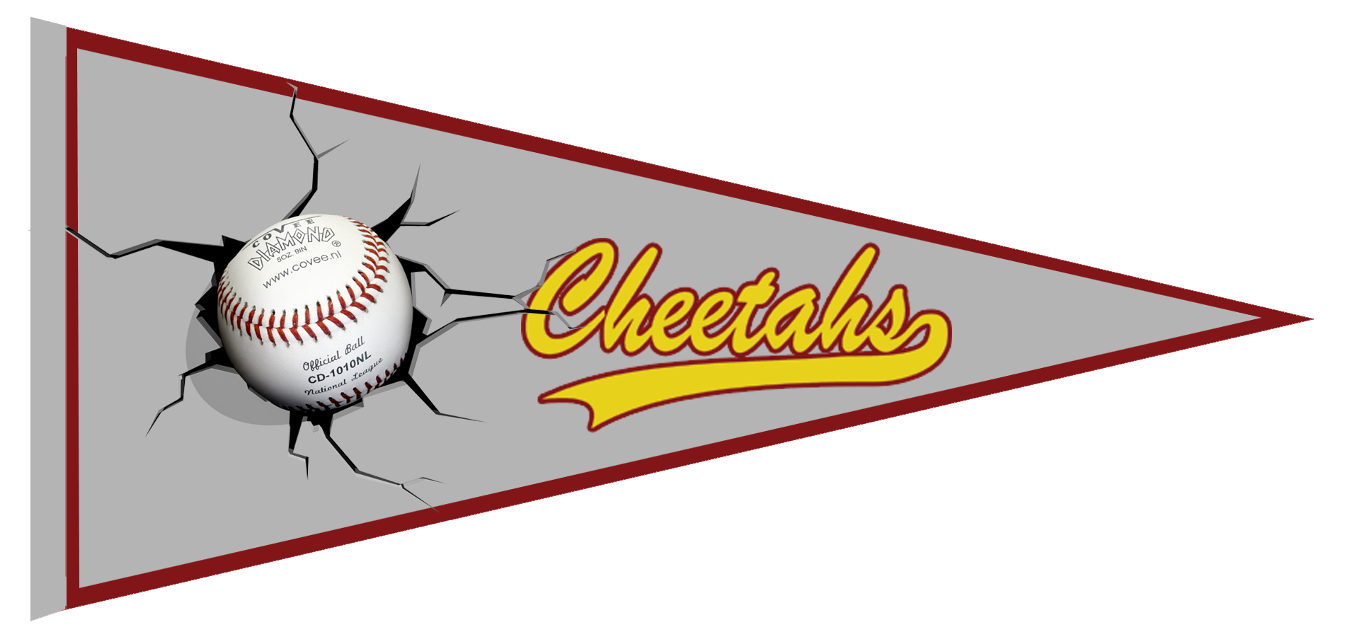 Banderin Cheetahs