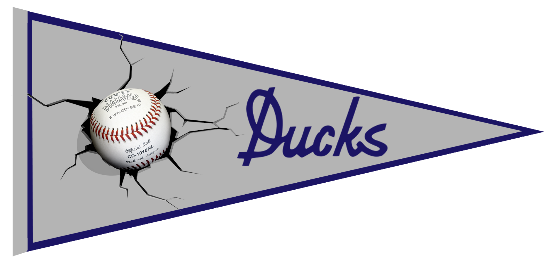 Pennant degli Ducks