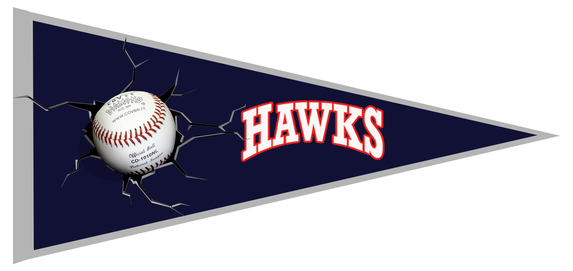 Banderin Hawks