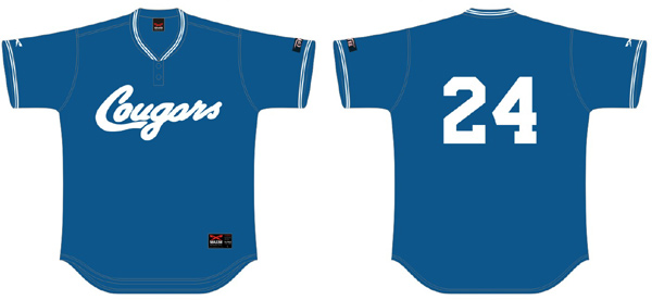 Karlsruhe Cougars Jersey: Mixed Teams, 2 buttons, Flatback Mesh