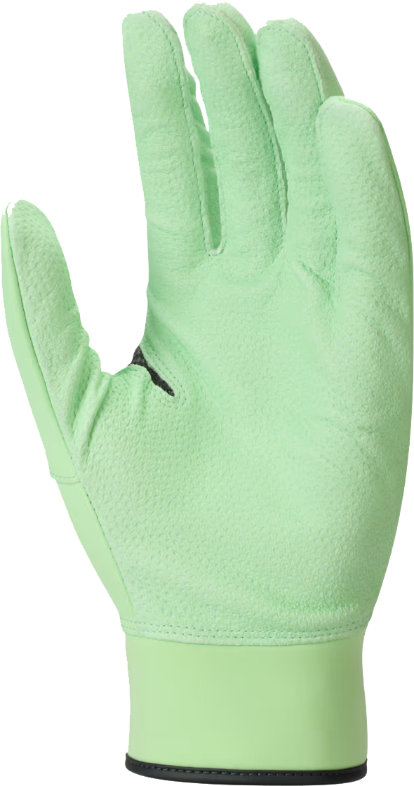 Nike Alpha Elite 2.0 Anthracite/Vapor Green