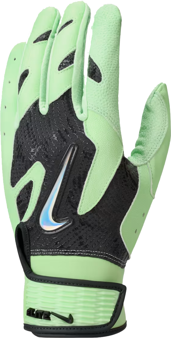 Nike Alpha Elite 2.0 Anthracite/Vapor Green