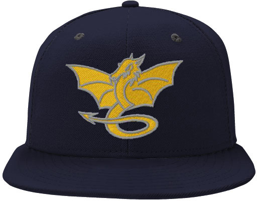 Houten Dragons Cap