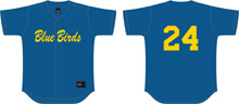 Camisa Blue Birds BB, Flatback mesh