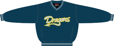 Dragons PolyMicro Pullover Jack